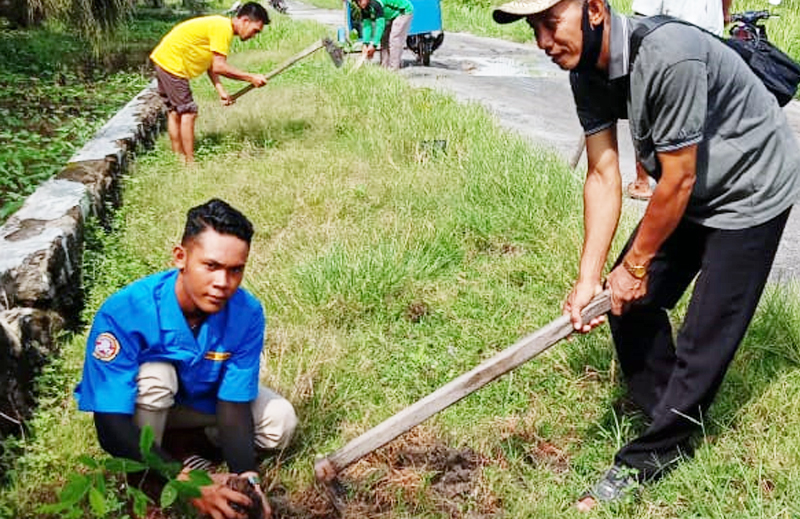 karang taruna melaksanakan penghijauan desa