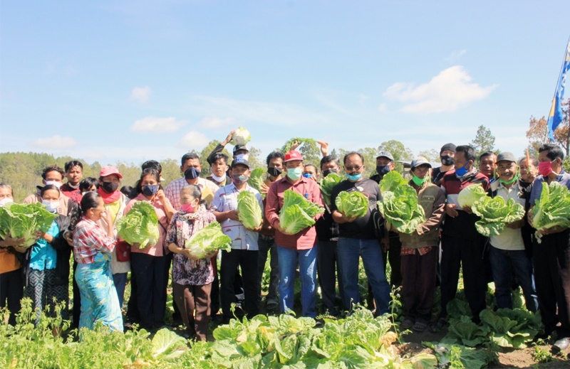 sayur-mayur