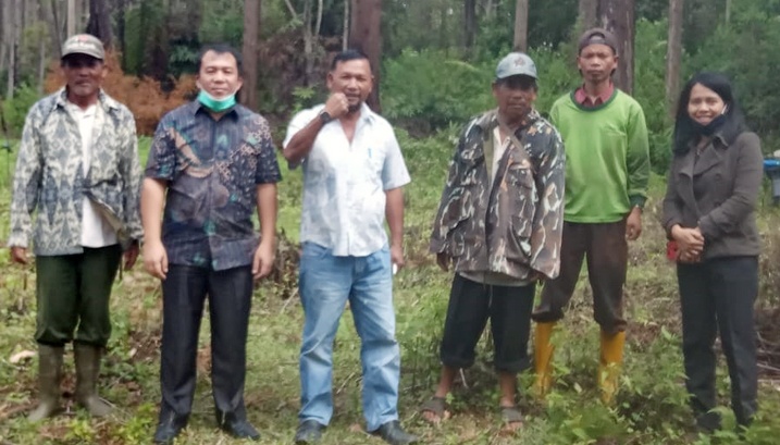 Ketua DPRD Samosir Saut Tamba Memonitoring Cocok Tanam Warga