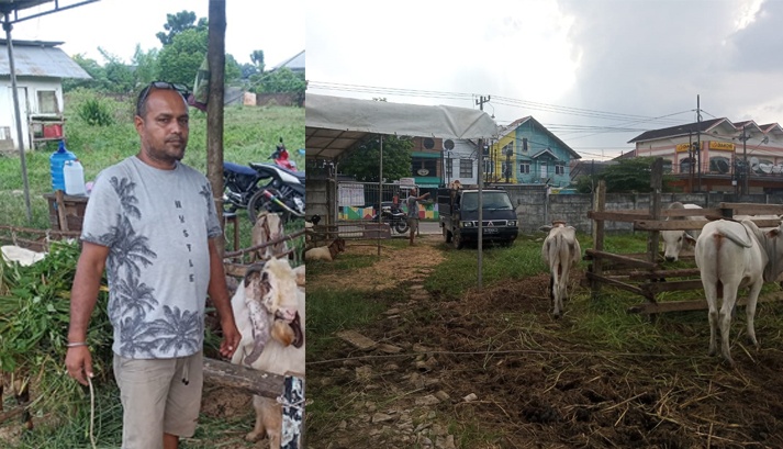 Hardip Pedagang: Daya Beli Hewan Qurban Jauh Merosot