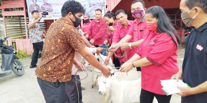 F-PDI Perjuangan Serahkan Tujuh Kambing Qurban