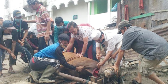 Umat Islam Balige Sembelih 11 Lembu, Satu Kambing di Masjid Al-Hadhonah