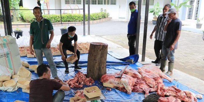 Gubernur Berpesan Qurban PKK Sumut Jangkau Masyarakat Akar Rumput