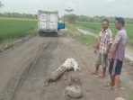 Hindari Jalan Baru Diperbaiki Rusak, Warga Buat Tiang Blokir