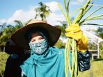 Ketua TP-PKK, Puji Keberhasilan Wanita Kelompok Tani