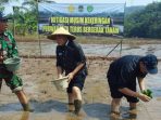 Antisipasi Dampak Kemarau Panjang, Purwakarta Andalkan Tanam Padi Gowah