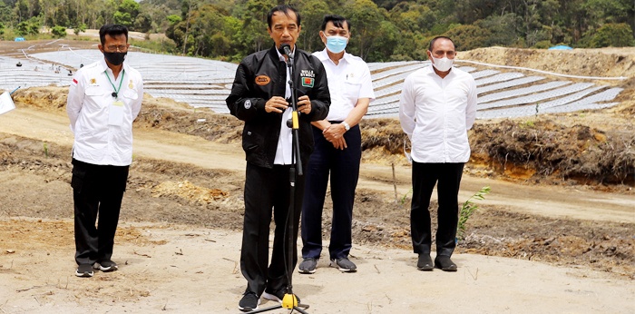 Joko Widodo Tinjau Kawasan Food Estate Humbahas