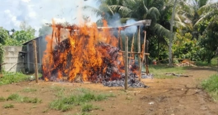 Polsek Pancur Batu Bakar Gubuk Tempat Judi Dadu di Durin Simbelang