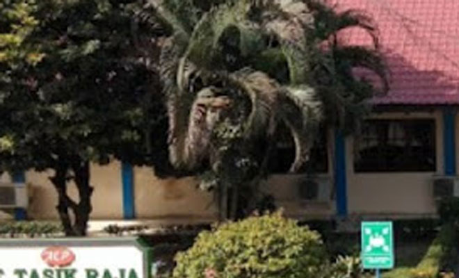 “Wartawan Bodoh, Kau Beritakan Saja!”