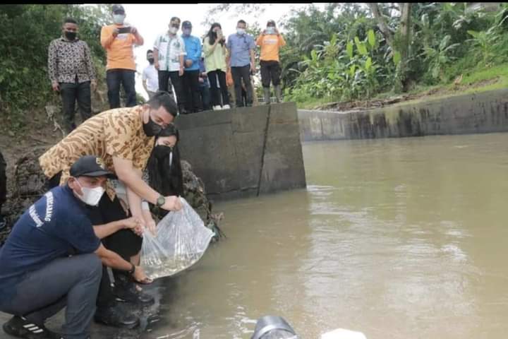 Wali Kota Medan Bersama Ketua PKK Tanam Pohon dan Tabur Benih Ikan