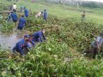 Satpolair Polres Purwakarta Bersihkan Eceng Gondok di Waduk Jatiluhur