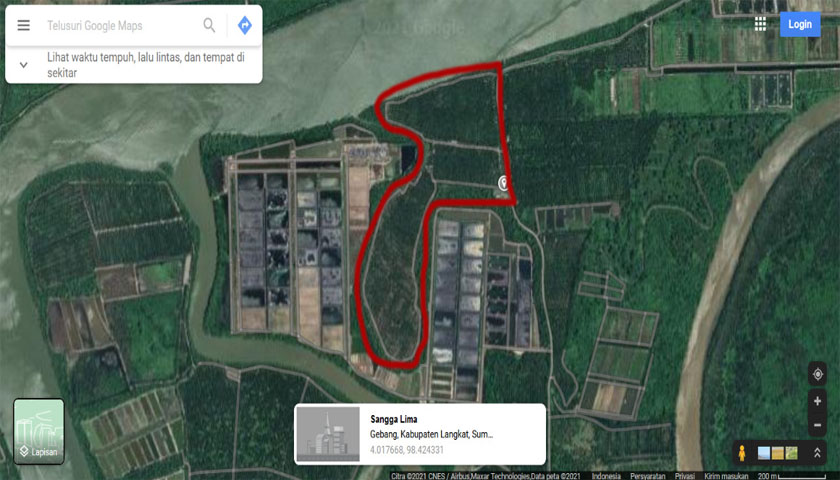 foto perambahan hutan