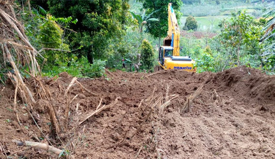 Polma Gurning: Pertanian Ujung Tombak Pembangunan