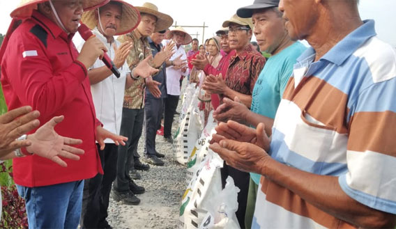 PDI Perjuangan Bagikan Pupuk di Labuhan Deli