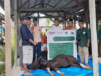 MTTF Menyalurkan Kurban untuk Para Janda dan Muallaf