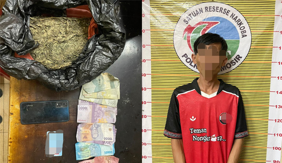 Jualan Ganja di Nainggolan, Polisi Ringkus Mantan ABK