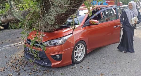 Tiga Mobil Tertimpa Pohon di Jalan Abdullah Lubis Medan