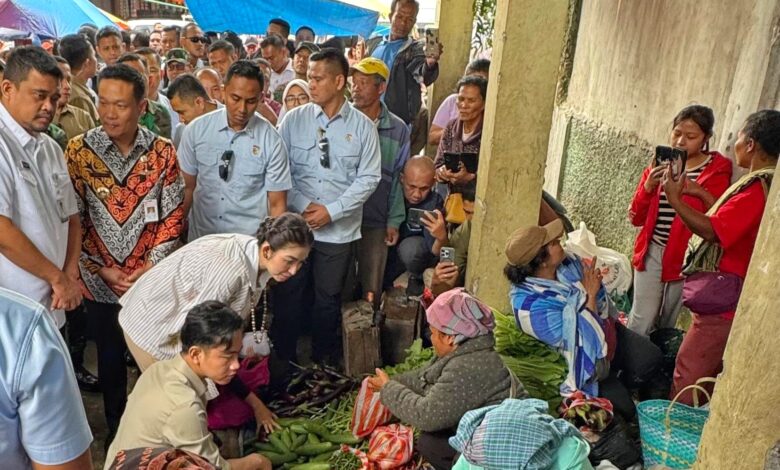 Gubsu_Wapres-Meninjau-Pasar-Doloksanggul-2-780x470