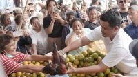 Bobby Nasution: Sumut Berpotensi jadi Sentra Produksi Jeruk Terbesar
