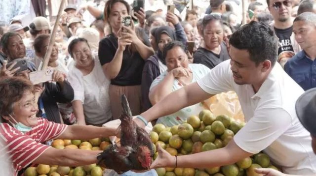 Bobby Nasution: Sumut Berpotensi jadi Sentra Produksi Jeruk Terbesar