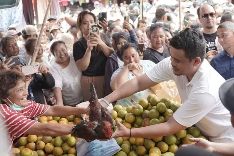 Bobby Nasution: Sumut Berpotensi jadi Sentra Produksi Jeruk Terbesar
