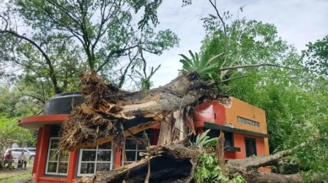 Atap Kantor Pos Jalan Sudirman Medan Rusak Akibat Tertimpa Pohon