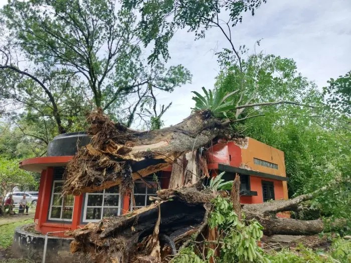 Atap Kantor Pos Jalan Sudirman Medan Rusak Akibat Tertimpa Pohon