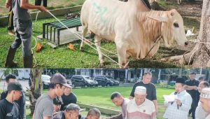 Dinas PUPR Sumut Berbagi Daging Kurban di Hari Raya Idul Adha 1446 H