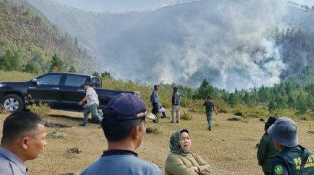 Api Karhutla di Samosir, Humbahas dan Simalungun Berhasil Dipadamkan