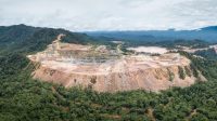 Hutan Batang Toru Butuh Perhatian Serius