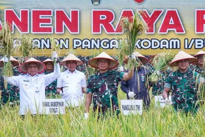 Dukung Swasembada Pangan, Panglima TNI Panen Raya di Deli Serdang