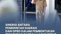 sinergi daerah