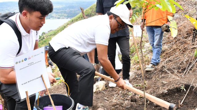Wabup Samosir Tanam Pohon di Lereng Gunung Pusuk Buhit, Perkuat Komitmen Pelestarian Alam