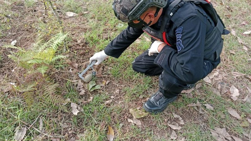 Tim Komposit Gegana Unit Jibom saat melakukan identifikasi dan penanganan granat tangan aktif tipe 5 off produksi Pindad yang ditemukan di area Perkebunan Kendenglembu, Banyuwangi, Selasa (5/5/2026). Benda berbahaya tersebut akhirnya dimusnahkan di tempat melalui peledakan terkendali. Foto: Ist.