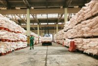 Pemerintah melalui kebijakan baru menurunkan harga pupuk bersubsidi sebesar 20 persen serta memangkas birokrasi distribusi untuk memastikan ketersediaan dan kemudahan akses bagi petani di tengah gejolak harga global. Foto: Ist.
