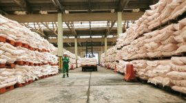 Pemerintah melalui kebijakan baru menurunkan harga pupuk bersubsidi sebesar 20 persen serta memangkas birokrasi distribusi untuk memastikan ketersediaan dan kemudahan akses bagi petani di tengah gejolak harga global. Foto: Ist.