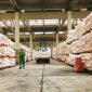 Pemerintah melalui kebijakan baru menurunkan harga pupuk bersubsidi sebesar 20 persen serta memangkas birokrasi distribusi untuk memastikan ketersediaan dan kemudahan akses bagi petani di tengah gejolak harga global. Foto: Ist.