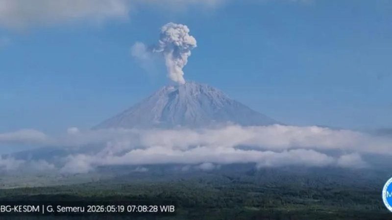 Gunung Semeru meletus dan menyemburkan kolom abu vulkanik yang membubung tinggi ke langit pada Selasa (19/5/2026). Foto: Ist.