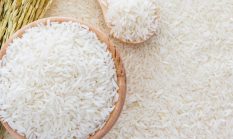 Bulog Siapkan Ekspor Beras Premium ke Malaysia, Harga Diproyeksi Tembus Rp16 Ribu per Kg