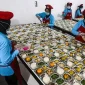 BGN memastikan program MBG tetap berjalan optimal meski anggaran tahun 2026 disesuaikan menjadi Rp268 triliun. Foto: Ist.