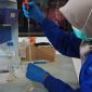 Petugas laboratorium Badan Pengawasan Obat dan Makanan (BPOM) sedang melakukan pengujian sampel produk kosmetik untuk mendeteksi kandungan bahan berbahaya atau zat terlarang. BPOM menegaskan akan menindak tegas pelaku peredaran kosmetik ilegal dengan ancaman hukuman penjara hingga 12 tahun dan denda hingga Rp5 miliar sesuai Undang-Undang Kesehatan. Foto: Ist.
