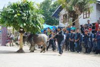 Melestarikan Tradisi Leluhur, Pemkab Samosir Sukses Gelar Ritual Horja Bius di Pusuk Buhit. (Foto:Ist) 