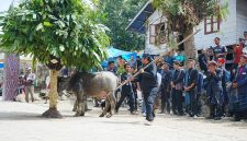 Melestarikan Tradisi Leluhur, Pemkab Samosir Sukses Gelar Ritual Horja Bius di Pusuk Buhit. (Foto:Ist)