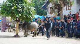 Melestarikan Tradisi Leluhur, Pemkab Samosir Sukses Gelar Ritual Horja Bius di Pusuk Buhit. (Foto:Ist) 