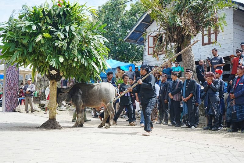 Melestarikan Tradisi Leluhur, Pemkab Samosir Sukses Gelar Ritual Horja Bius di Pusuk Buhit. (Foto:Ist) 