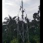 Aktivitas pekerja sedang merakit dan membangun menara telekomunikasi milik PT Protelindo di Desa Pulo Dogom, Kecamatan Kualuh Hulu, Kabupaten Labuhanbatu Utara, Selasa (12/5/2026). Foto: Ist.