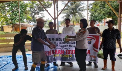 Polsek Kualuh Hulu