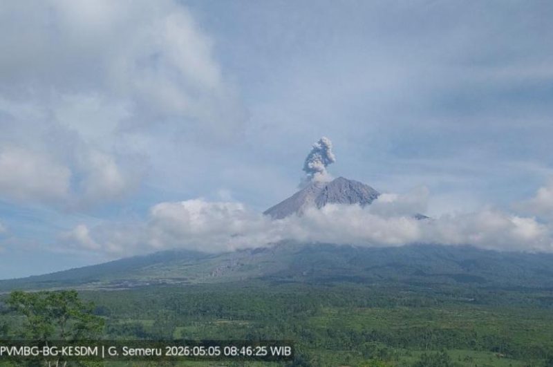 Erupsi Gunung Semeru yang terjadi pada Selasa, 5 Mei 2026 pukul 08.46 WIB. Terlihat jelas kolom abu vulkanis berwarna putih kelabu yang menjulang tinggi dari puncak kawah, menyebar ke arah barat daya sesuai arah angin saat kejadian. Foto: Ist.