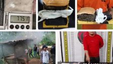 Polda Sumut mengungkap 264 kasus narkoba dan menangkap 342 tersangka dalam operasi lima hari serta menyita barang bukti dalam jumlah besar. Foto: Ist.