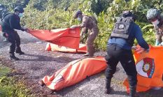 KKB-TPNPB OPM Lakukan Pembantaian, 8 Pendulang Emas Tewas di Pedalaman Yahukimo